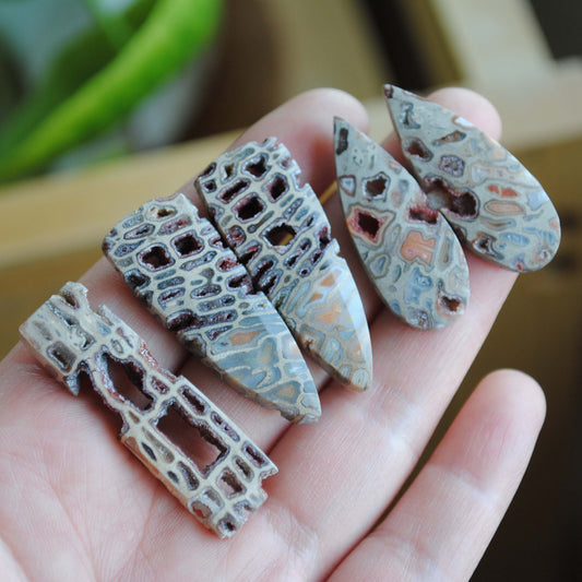 Petrified wood druzy pocket cabochons