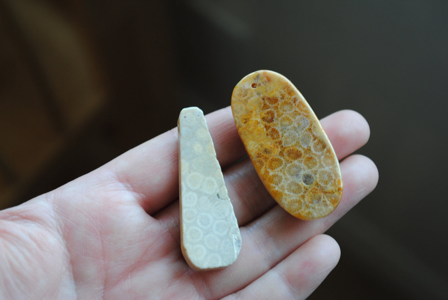 Fossilized coral beads