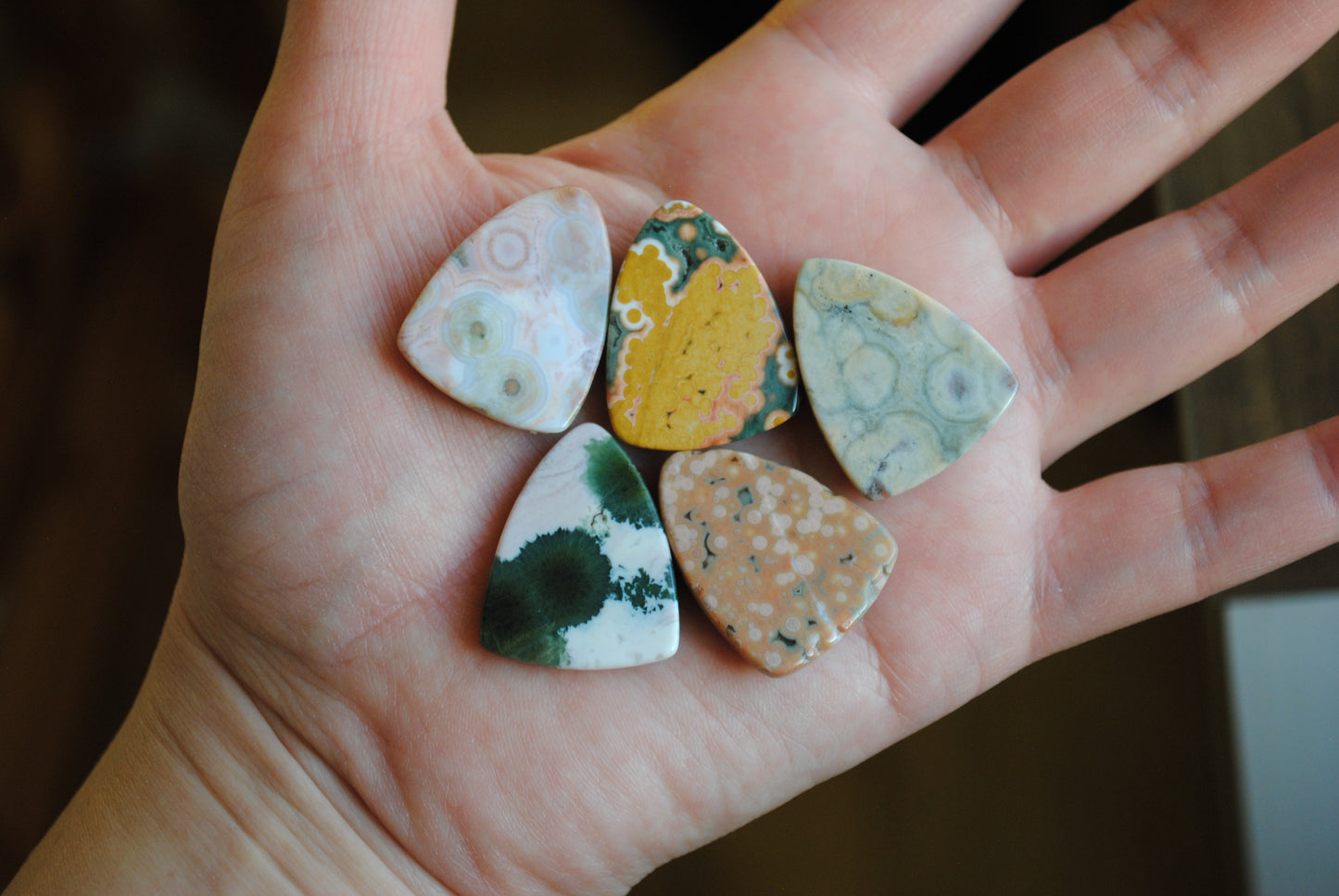 Ocean Jasper 27x21mm shield cabochons