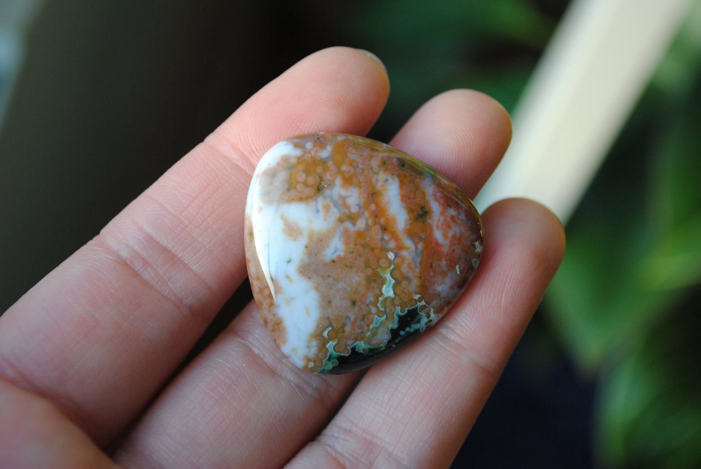 30mm trillion Ocean Jasper cabochons (Lot ee)