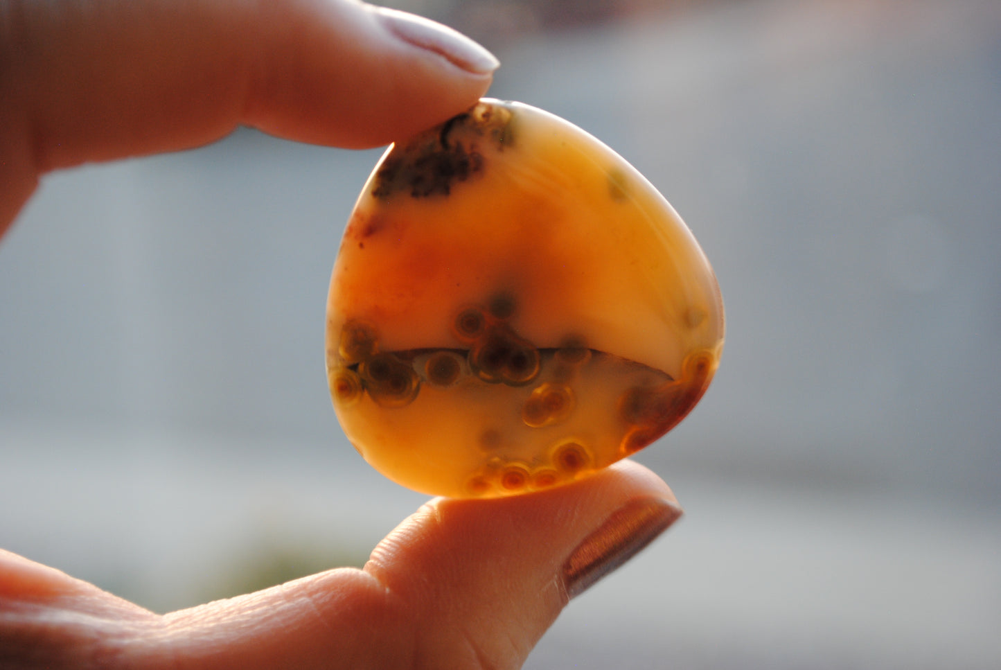 35mm trillion Ocean Jasper cabochons (Lot aaa)
