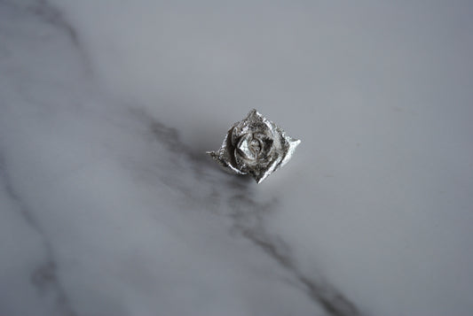 Sterling silver succulent casting