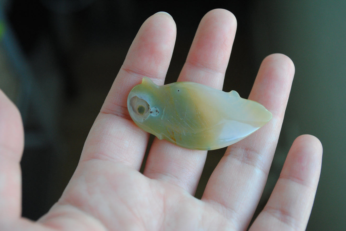 Ocean Jasper carved bird held in a hand against a blurred background