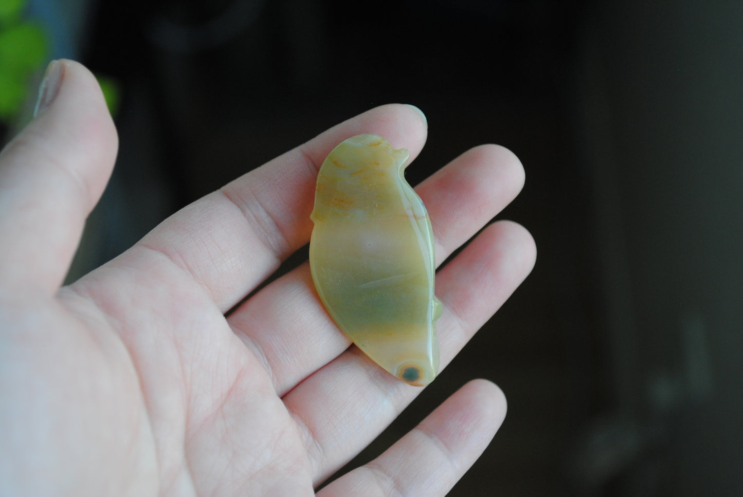 Ocean Jasper carved bird held in a hand against a blurred background