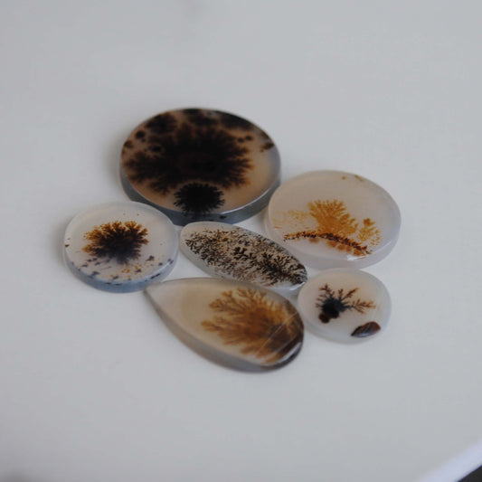 Dendritic agate stones with dendrite patterns on a light background