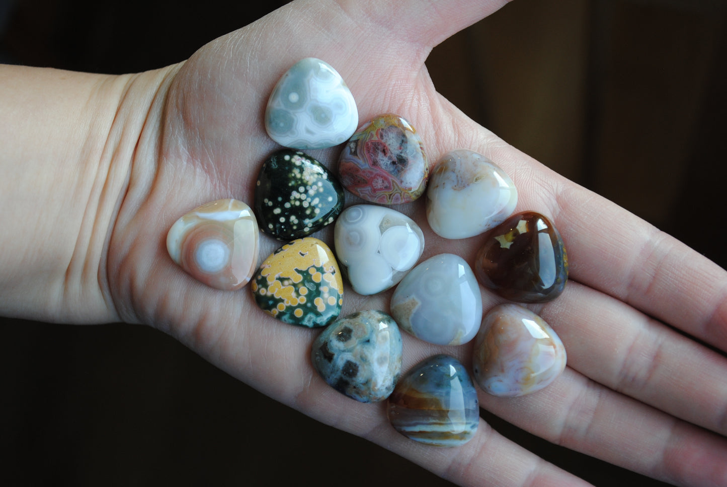 20mm trillion Ocean Jasper cabochons