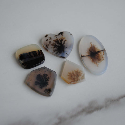 Dendritic agate stone on a light background