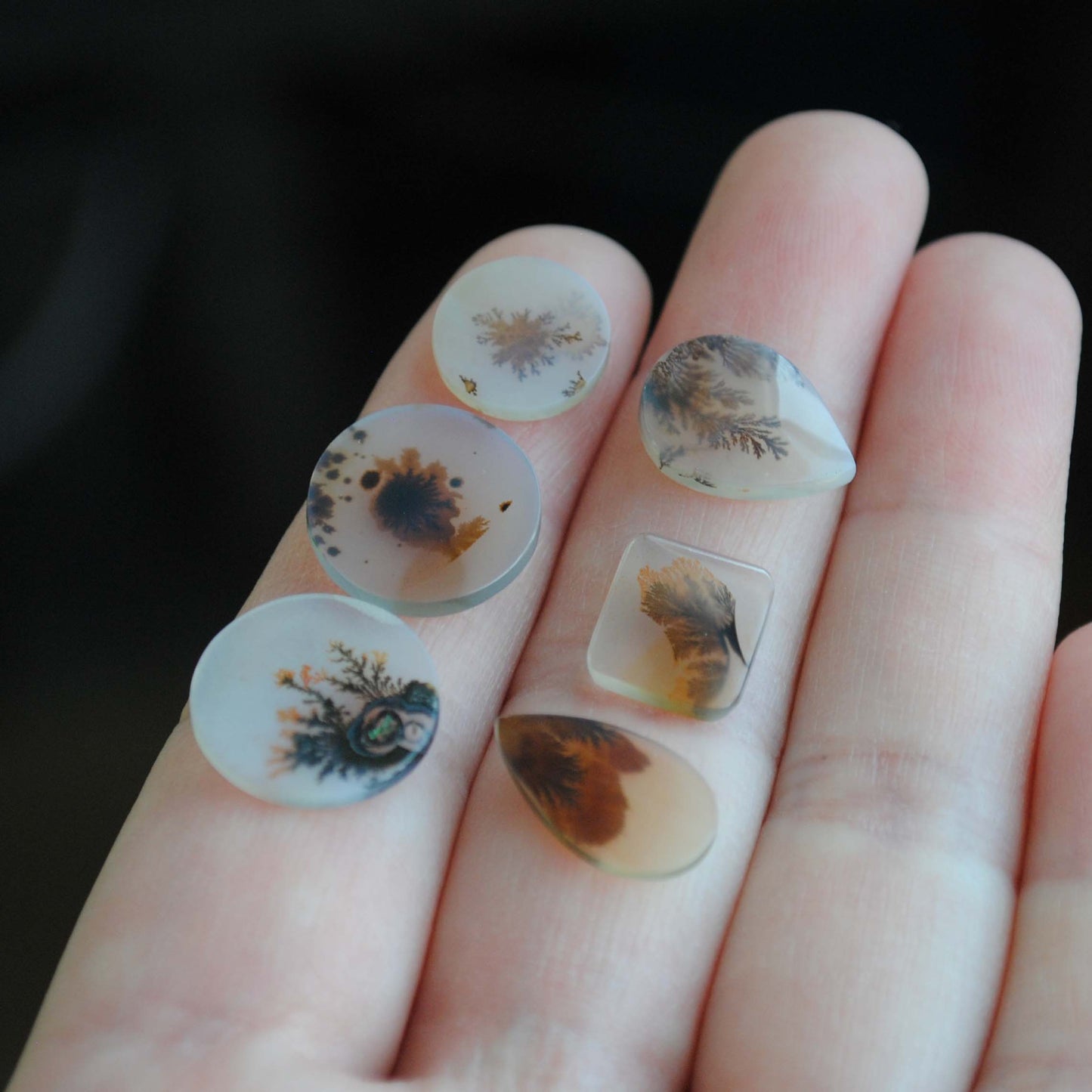 Dendritic agate cabochons (lot L)