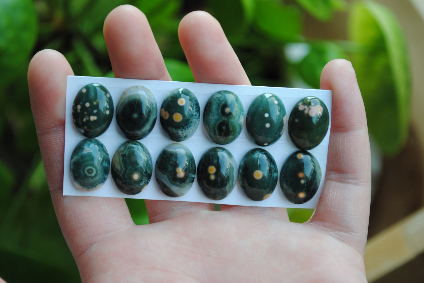 Ocean Jasper 18x13mm oval cabochons