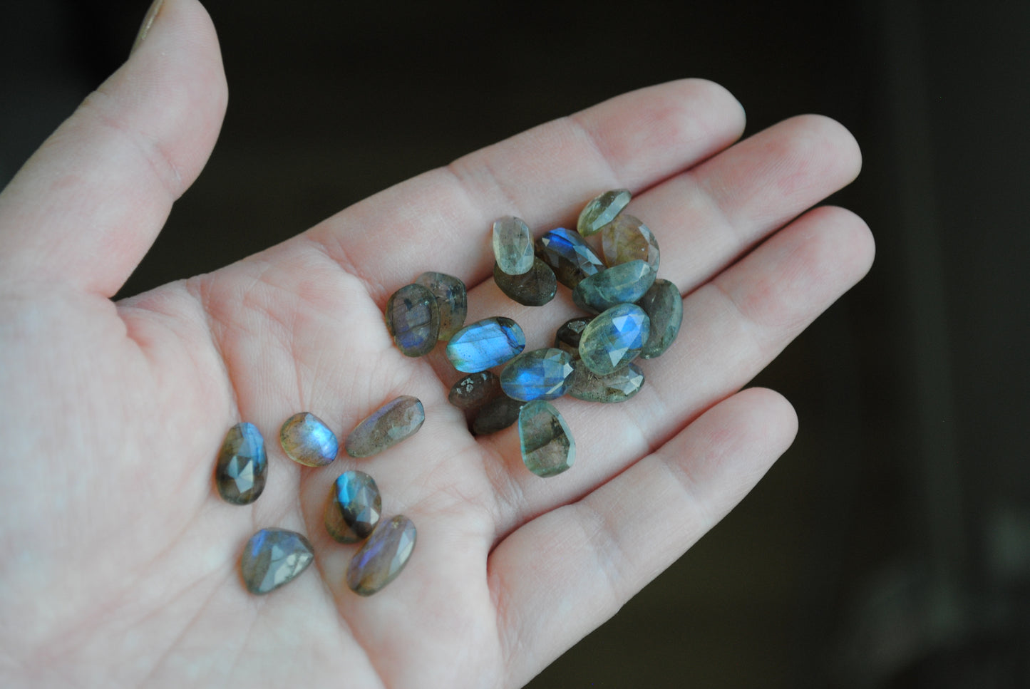 Labradorite rose cut cabochons on palm of hand