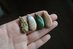 33 x 15mm comma Ocean Jasper cabochons