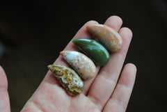 33 x 15mm comma Ocean Jasper cabochons