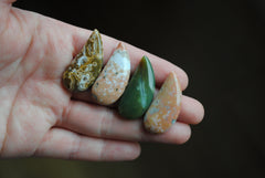 33 x 15mm comma Ocean Jasper cabochons