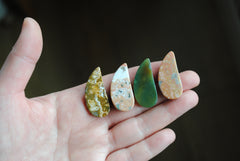 33 x 15mm comma Ocean Jasper cabochons