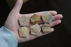Jasper hexagon cabochons (Lot B)