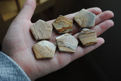 Jasper hexagon cabochons (Lot B)