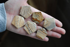 Jasper hexagon cabochons (Lot B)