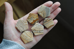 Jasper hexagon cabochons (Lot B)
