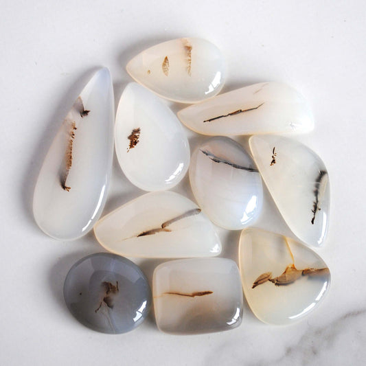 Dendritic agate cabochons (Lot B)