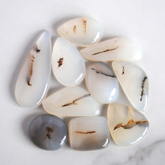 Dendritic agate cabochons (Lot B)