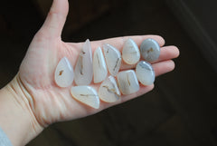Dendritic agate cabochons (Lot B)