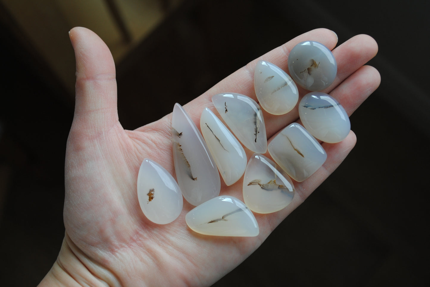 Dendritic agate cabochons (Lot B)