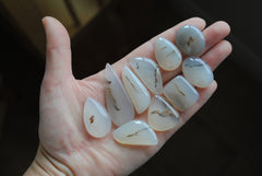 Dendritic agate cabochons (Lot B)