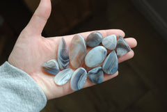 Botswana agate cabochons (Lot A)