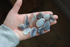 Botswana agate cabochons (Lot A)