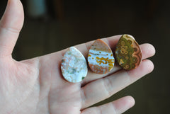 Ocean Jasper 30x22mm drop cabochons