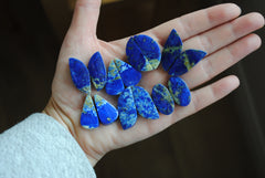 Lapis lazuli cabochons (Lot D)