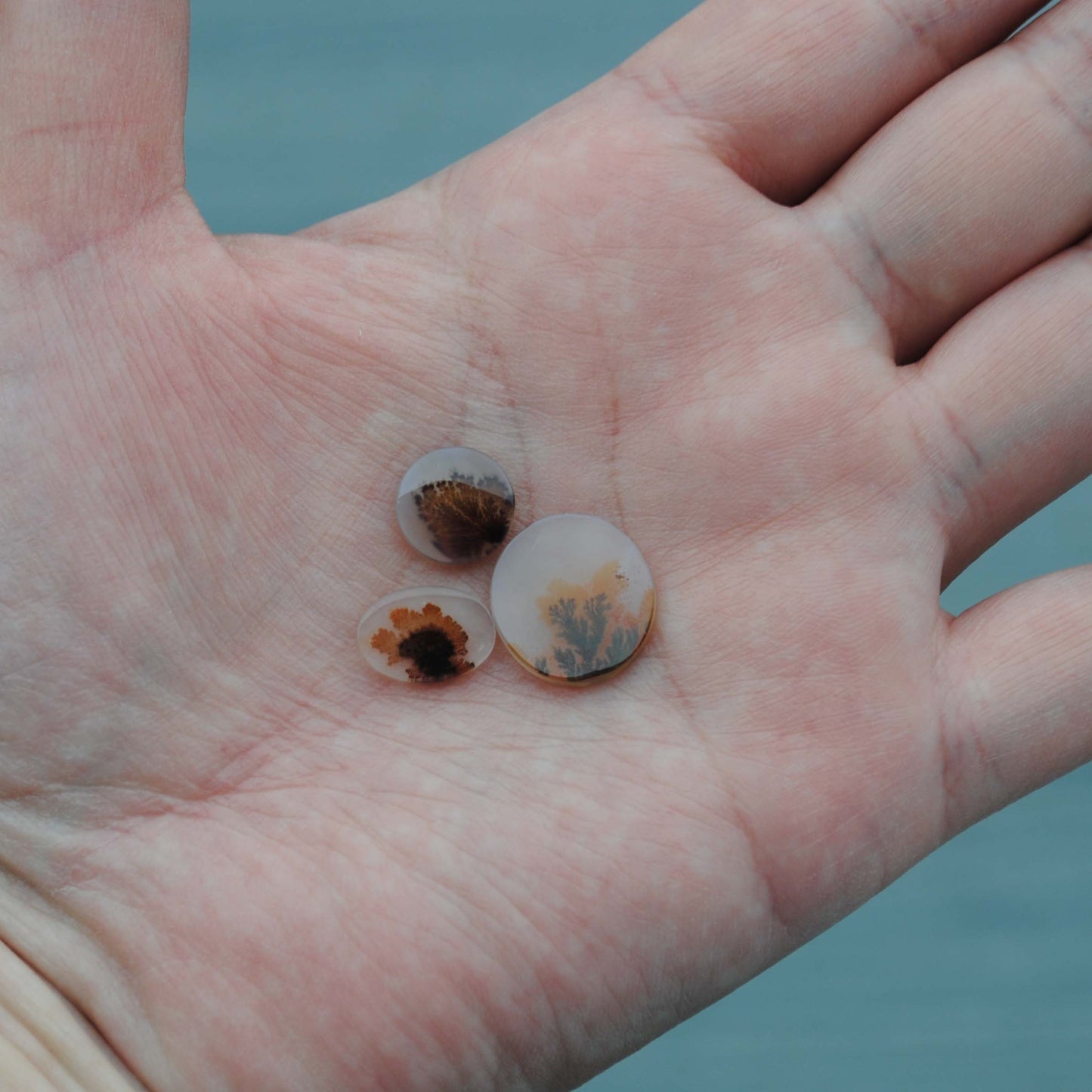 Dendritic agate stones held in a palm of a hand