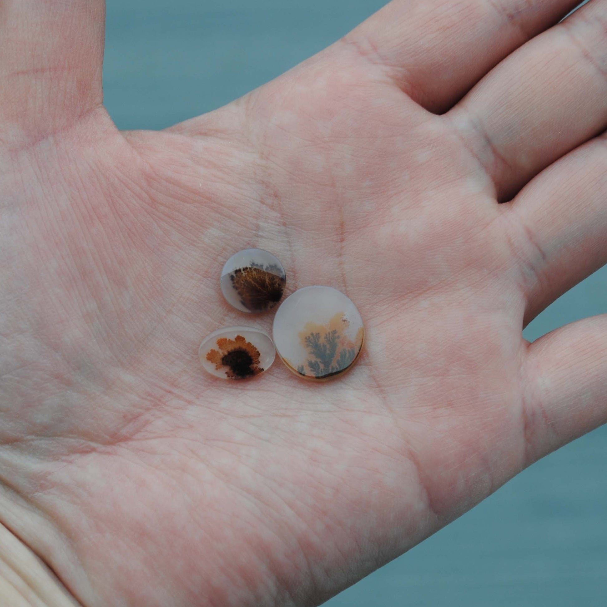 Dendritic agate stones held in a palm of a hand