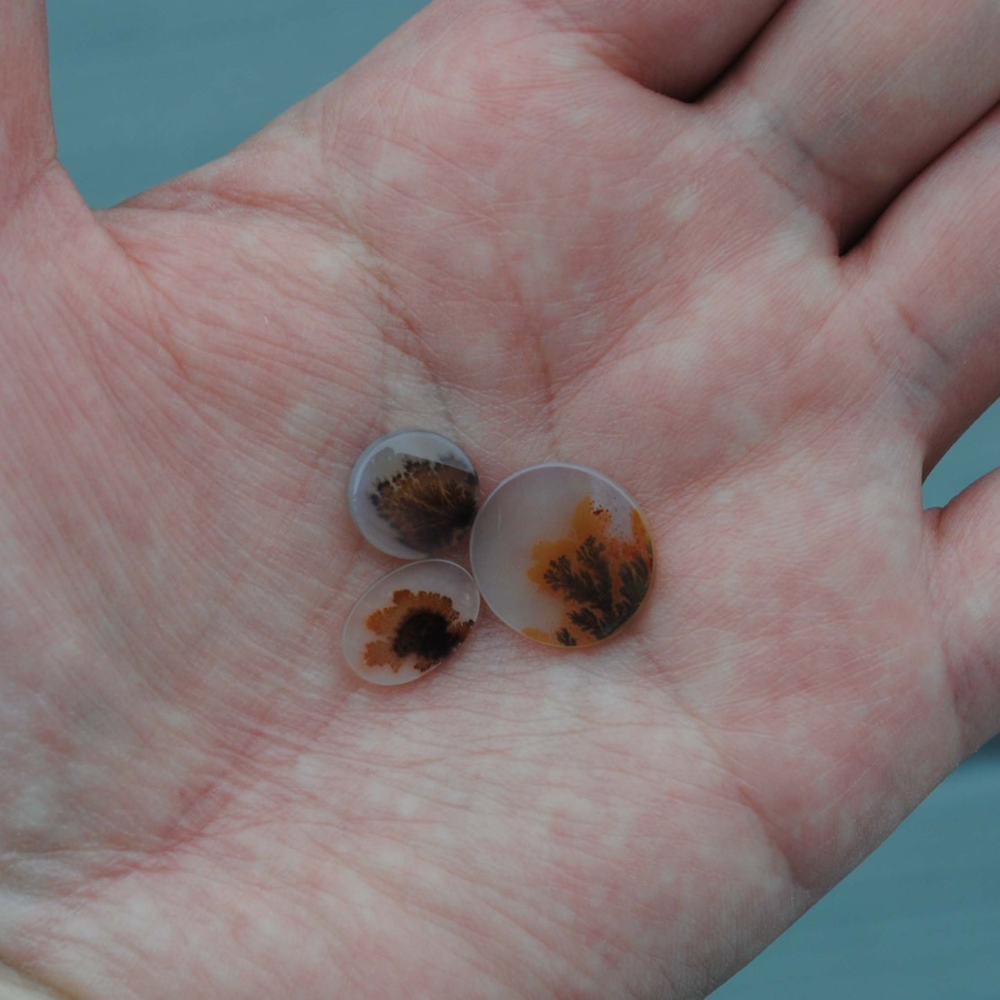 Dendritic agate stones held in a palm of a hand