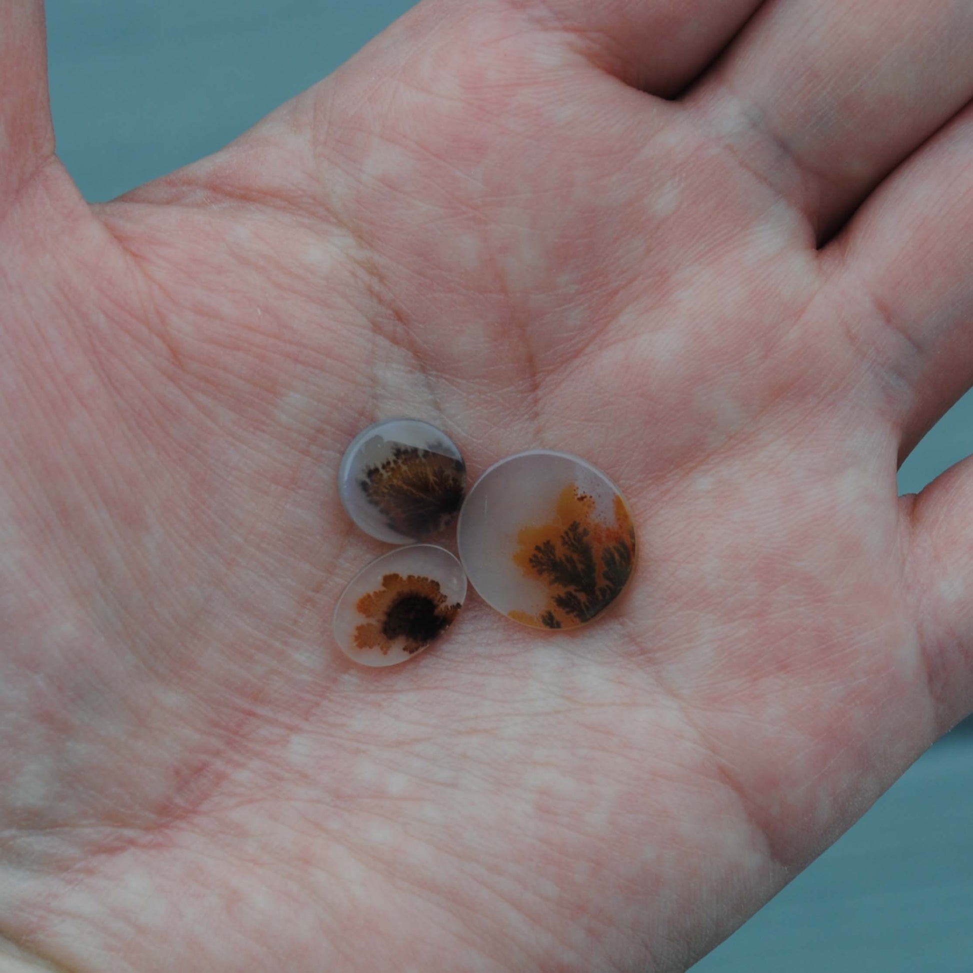 Dendritic agate stones held in a palm of a hand