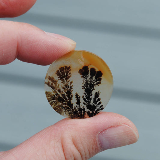 Dendritic agate stone held by fingers