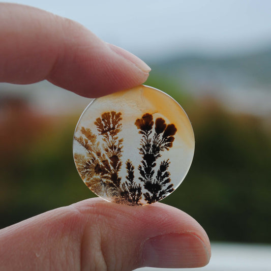 Dendritic agate stone held by fingers