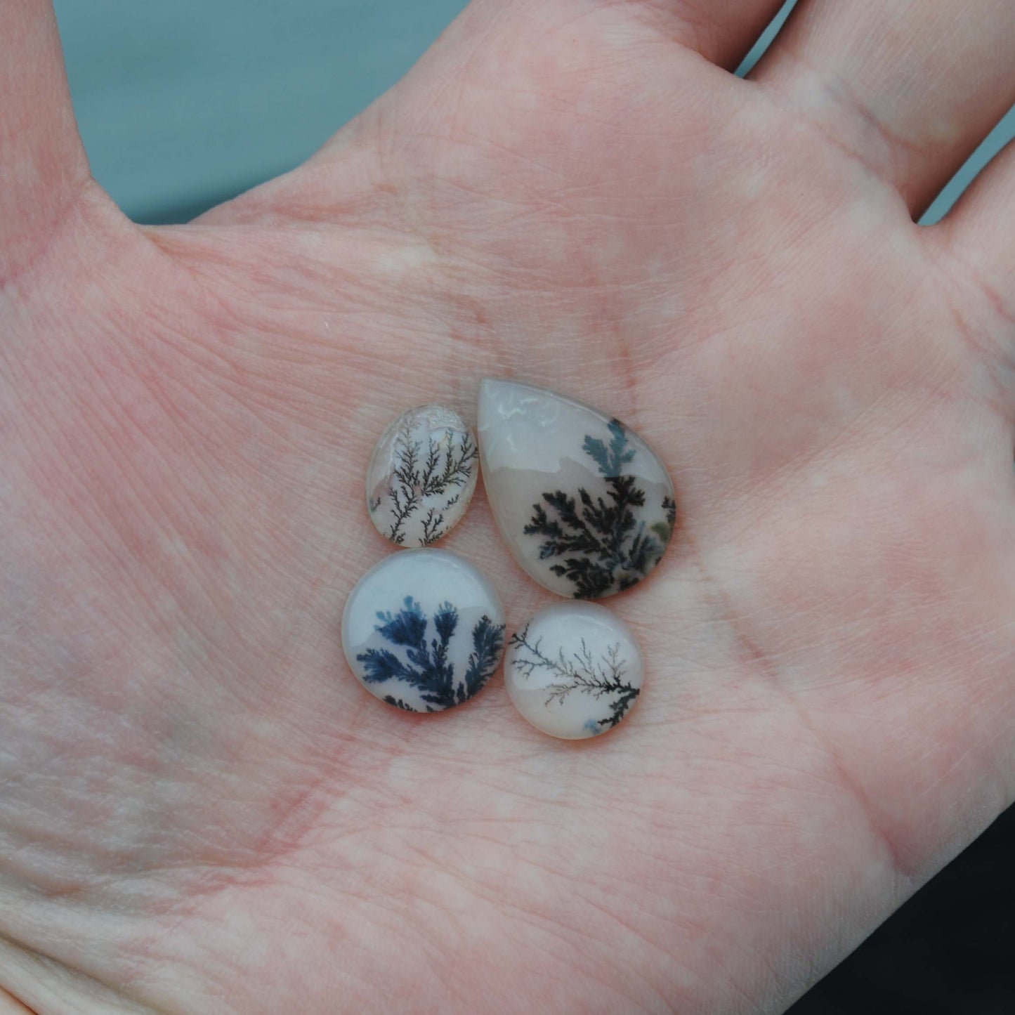 Dendritic agate stones in the palm of a hand