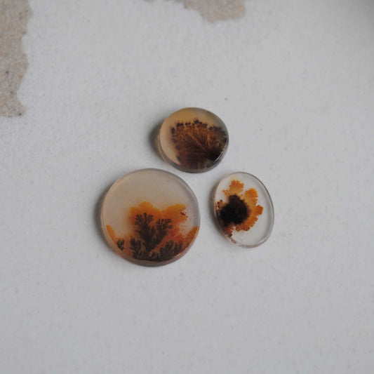 Dendritic agate stones on a light background