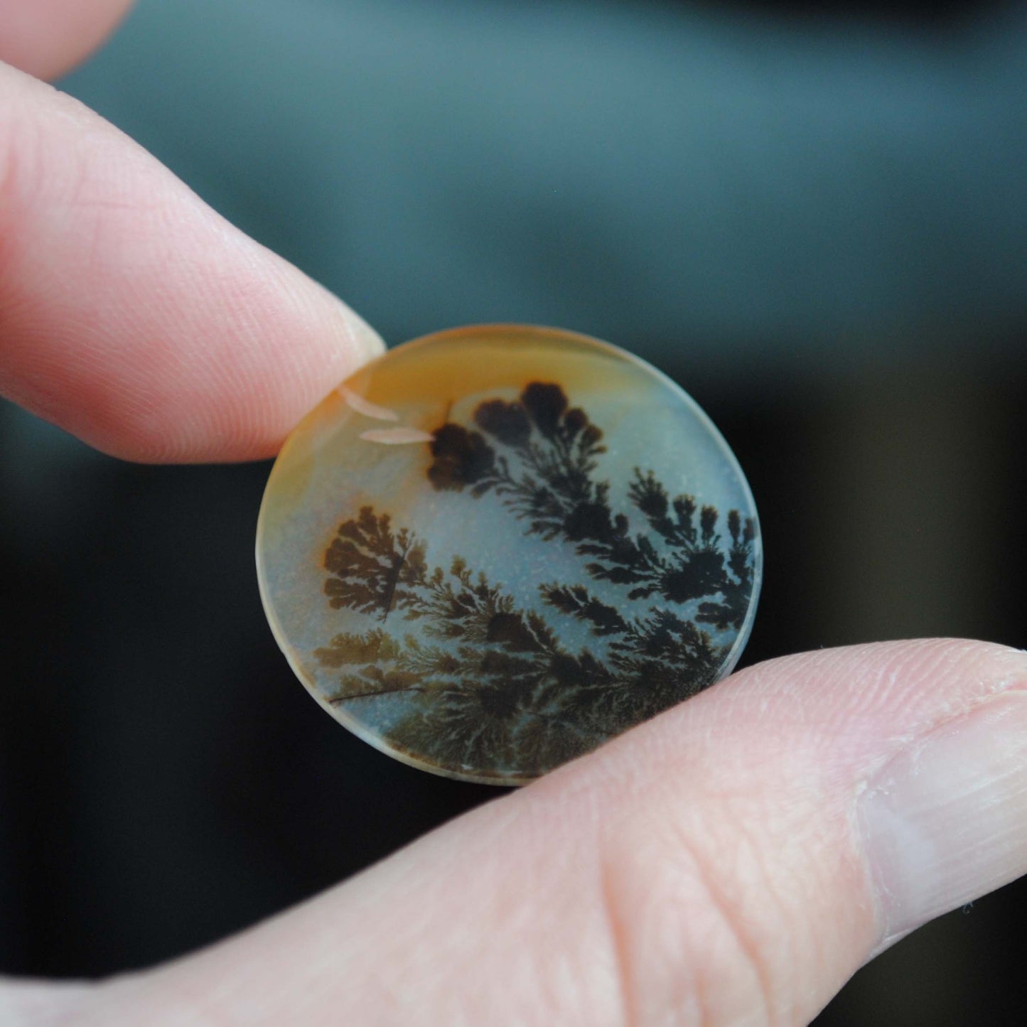 Dendritic agate stone held by fingers