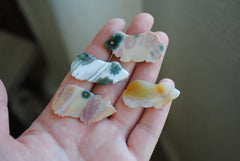 Ocean Jasper carved frogs (Lot A)