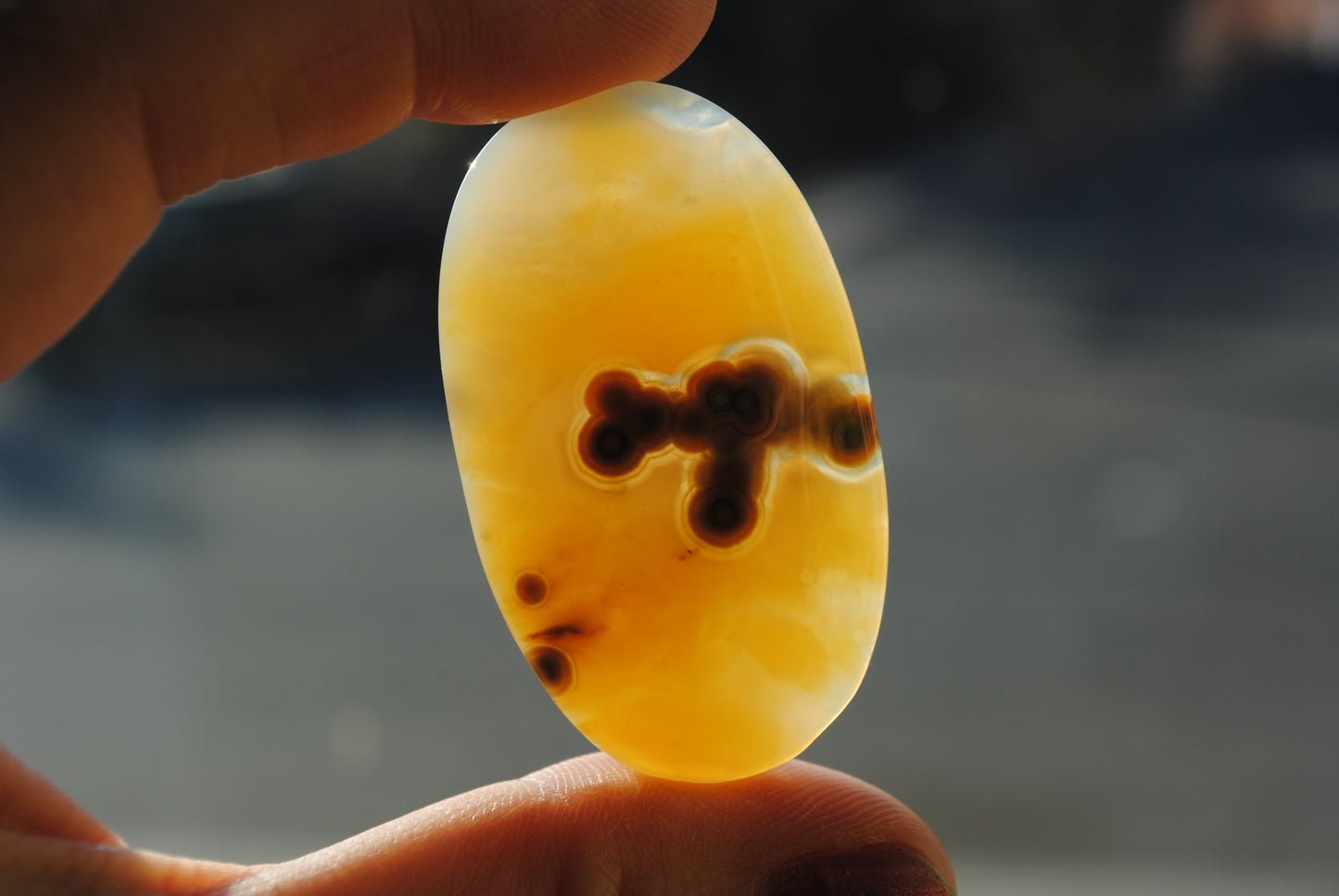 Ocean Jasper freeform cabochon