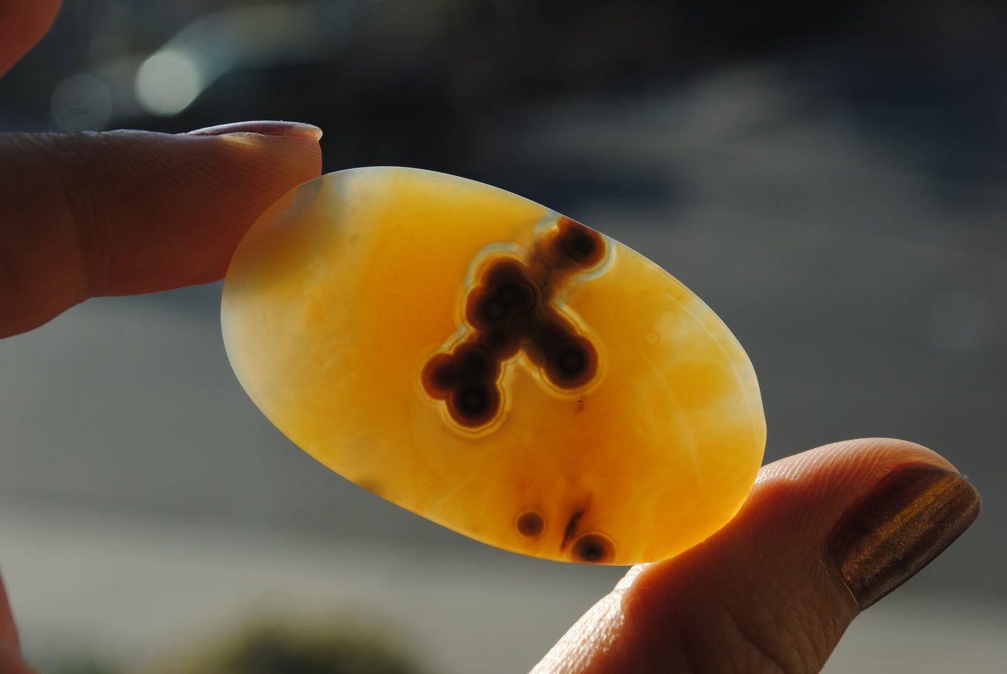 Ocean Jasper freeform cabochon