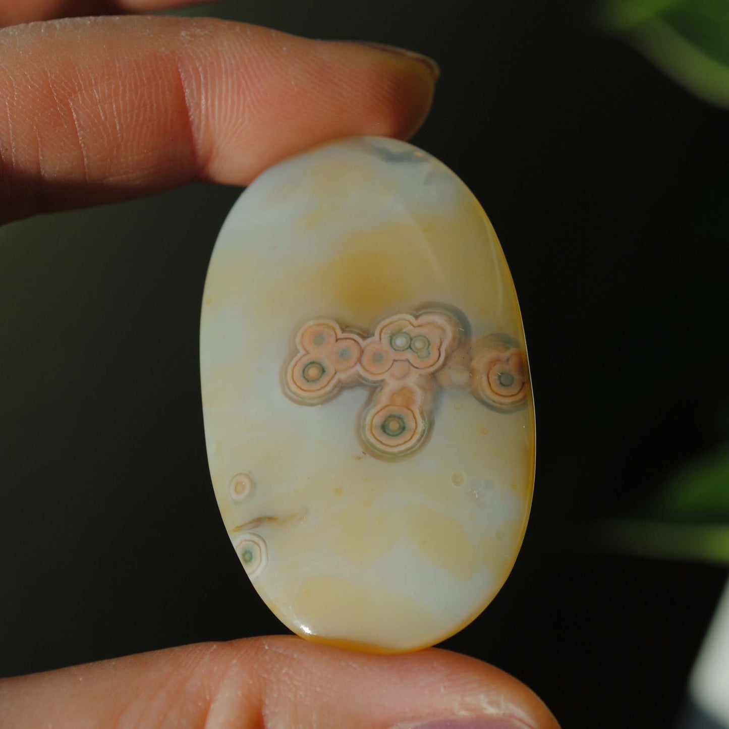 Ocean Jasper freeform cabochon