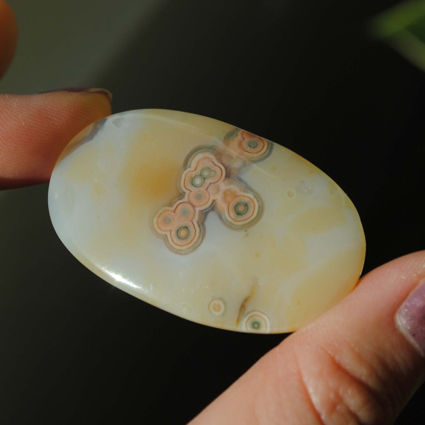 Ocean Jasper freeform cabochon