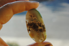 Ocean Jasper freeform cabochon