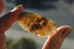 Ocean Jasper freeform cabochon