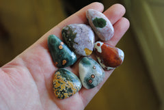 Ocean Jasper freeform cabochons (Lot A)