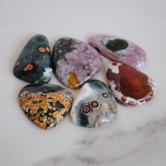Ocean Jasper freeform cabochons (Lot A)