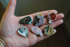 Ocean Jasper freeform cabochons (Lot A)